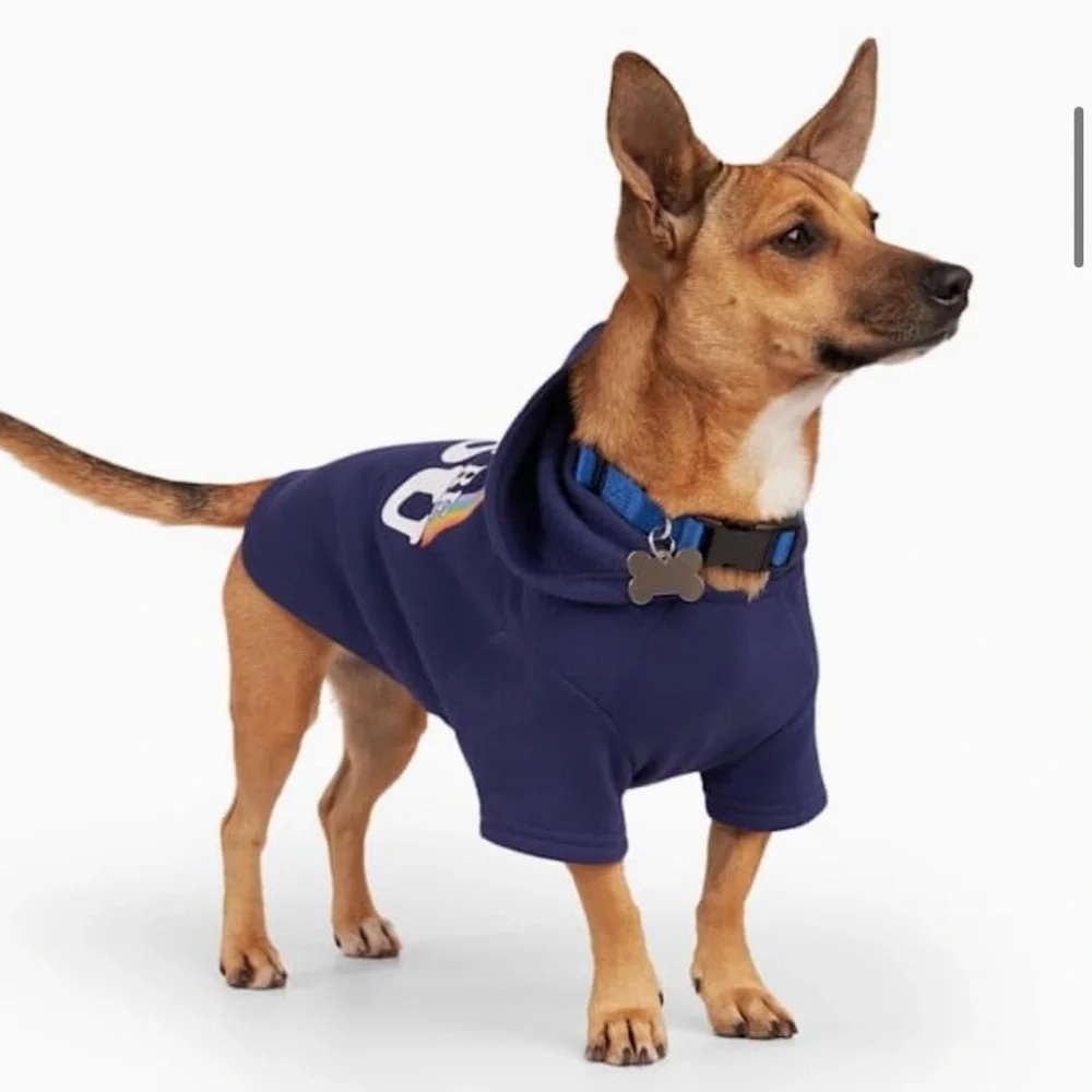 NWT Pride “You do you” dog hoodie XXL